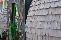 028DSC_1497